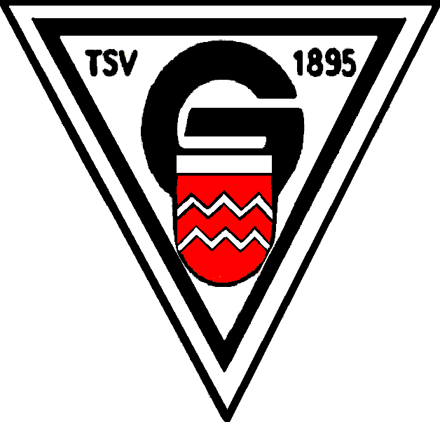 Zur Hompage des TSV-Geislingen 1895 e.V.